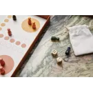 Gioco da tavolo VINGA Ludo coffee