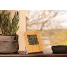 Bamboo weather station