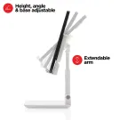 Phone and tablet stand