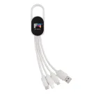 4-in-1 Kabel mit Karabiner-Clip