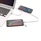 Cavo 3 in 1 con caricatore wireless in bambù da 5W Cavo 3 in 1 con caricatore wireless in bambù da 5W