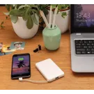 Powerbank 5.000 mAh de bolsillo con cables integrados
