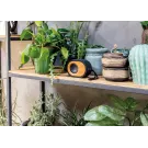 Bamboo X  speaker