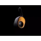 Bamboo X  speaker