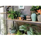 Bamboo X double speaker