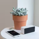 Enceinte DJ