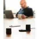 Double induction charging speaker