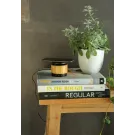 Enceinte 3W avec chargeur à induction en bambou