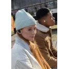 Urban Vitamin Gilroy hybrid ANC and ENC earbuds