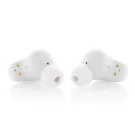 Urban Vitamin Gilroy hybrid ANC and ENC earbuds