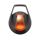 Water bottle with infuser