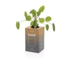 Tazza Avira Alya in acciaio riciclato RCS 300ML