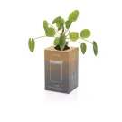 Tazza Avira Alya in acciaio riciclato RCS 300ML