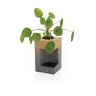 Tazza Avira Alya in acciaio riciclato RCS 300ML