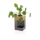 Tazza Avira Alya in acciaio riciclato RCS 300ML