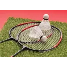 Set de badminton