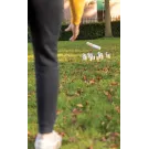 Juego scatter de madera
