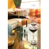Set 4 pezzi Vino Connoisseur