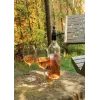 Refrigeratore Vino