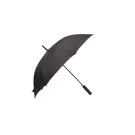 Typhoon