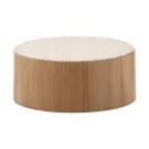 Andina