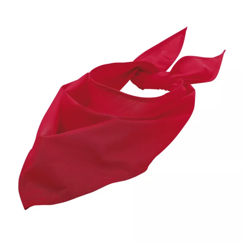 Sol's Bandana