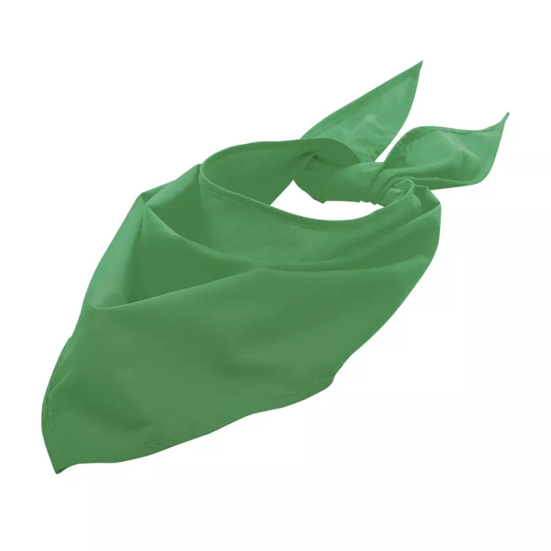 Sol's Bandana