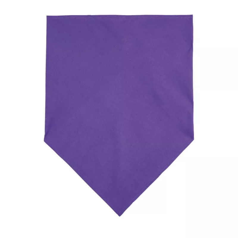Sol's Bandana