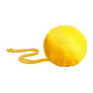 Dayfan